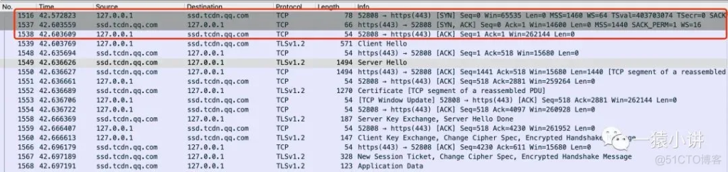 TLS Protocol Analysis
