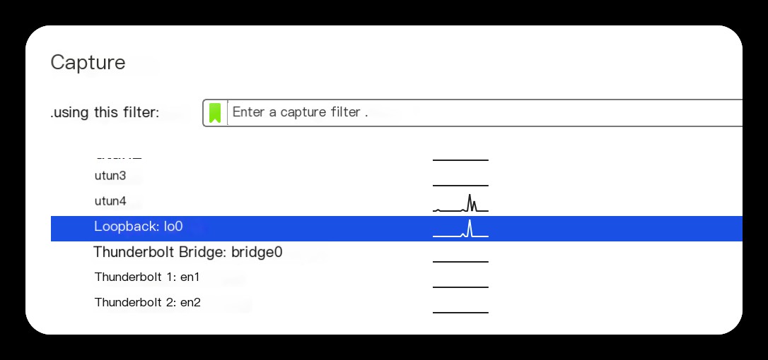 SpringBoot startup