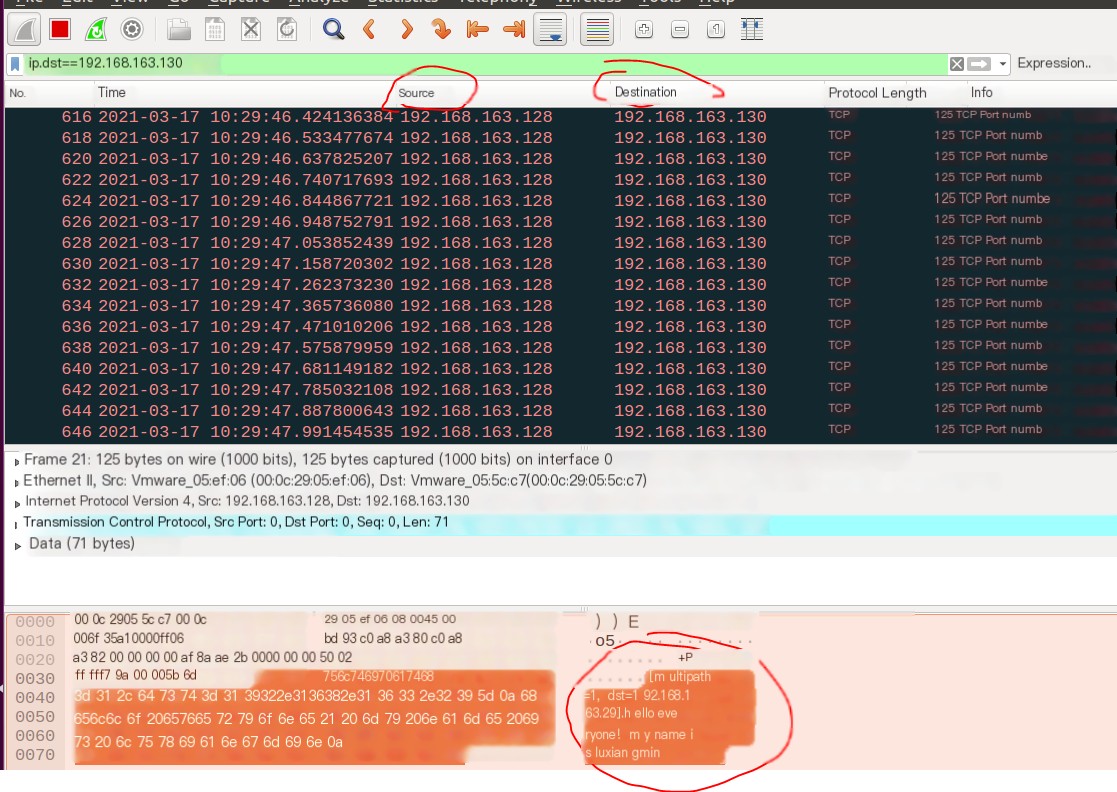 sendip command