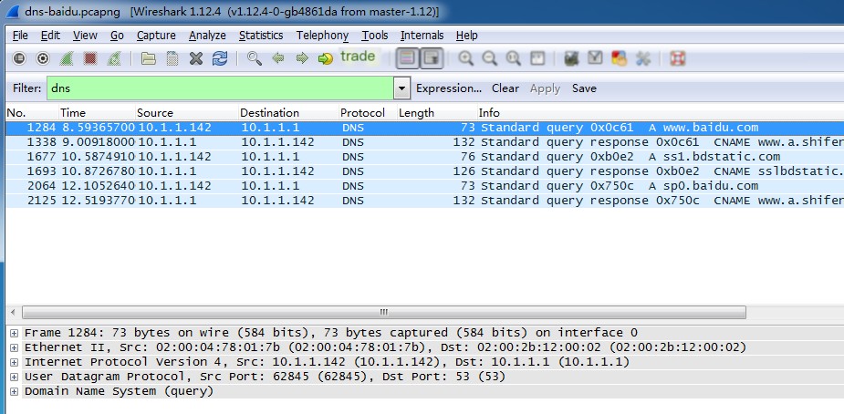 DNS data packets