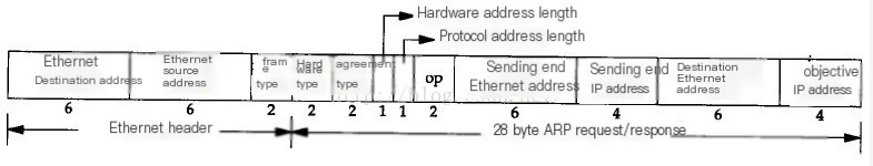 capture ARP packets
