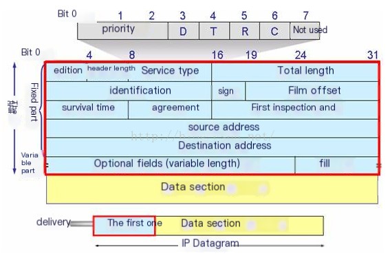 IP Datagram