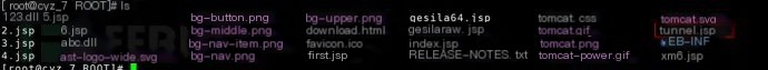 reGeorg