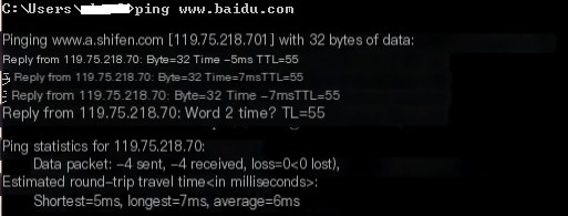 IP Datagram