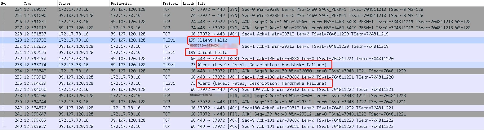 Packet capture analysis