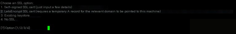 Network Detection Bypass