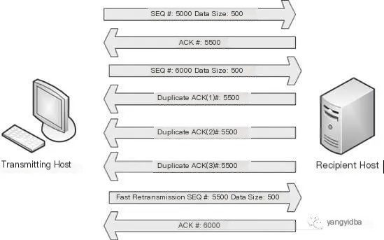 TCP/IP principles