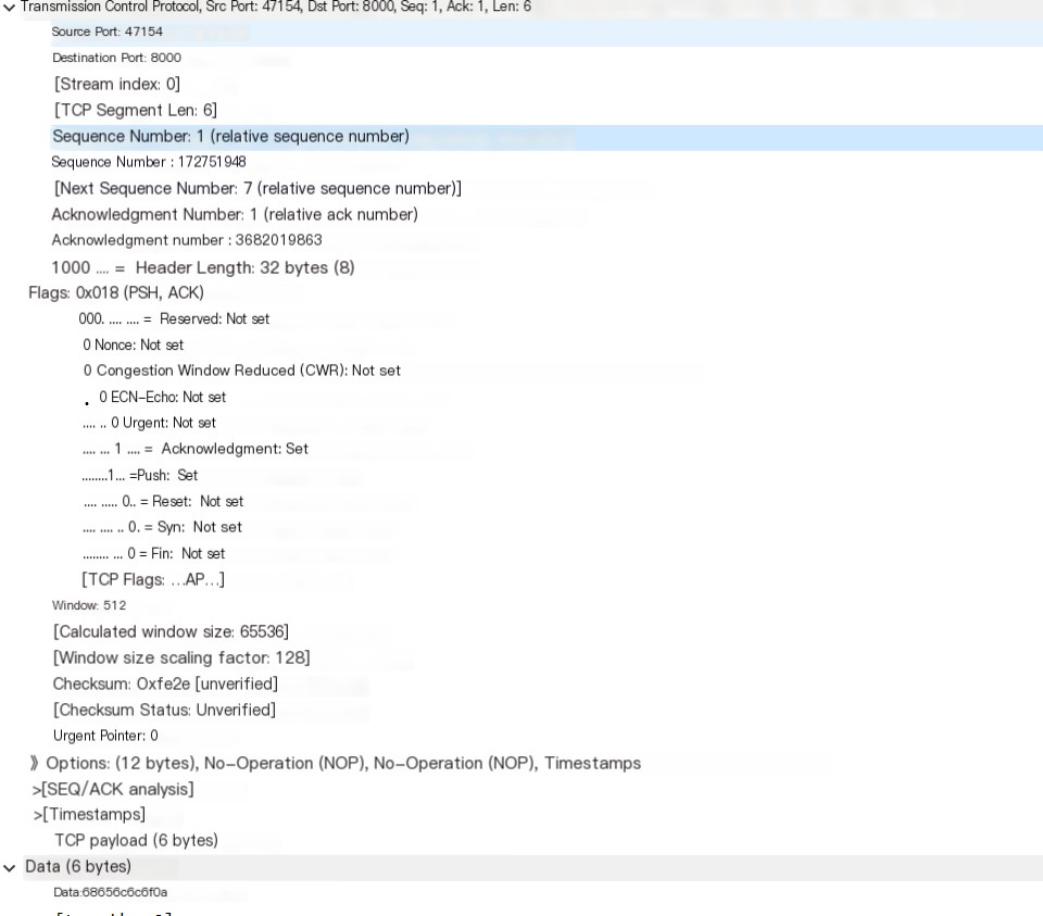 TCP partial data
