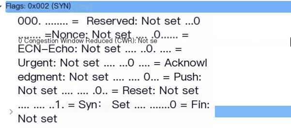 Handshake 1: SYN