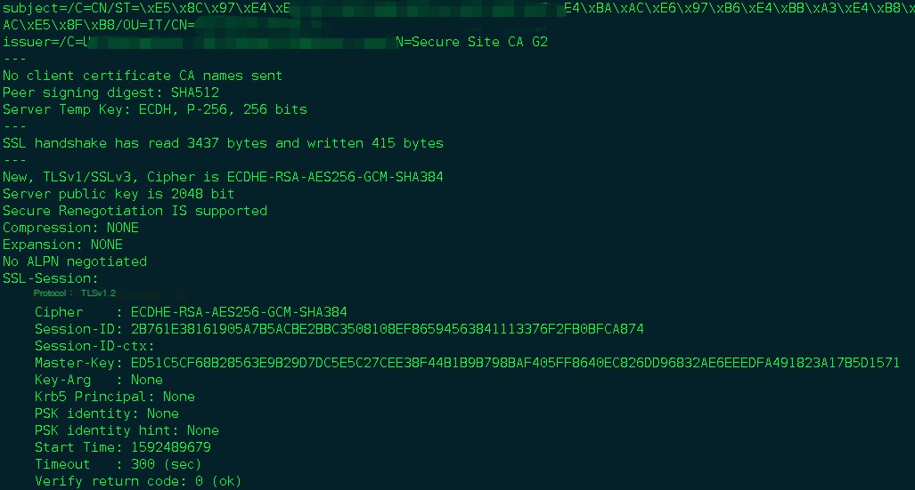 Openssl tool establishing connection process