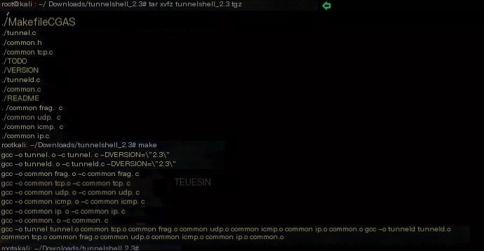 covert networks