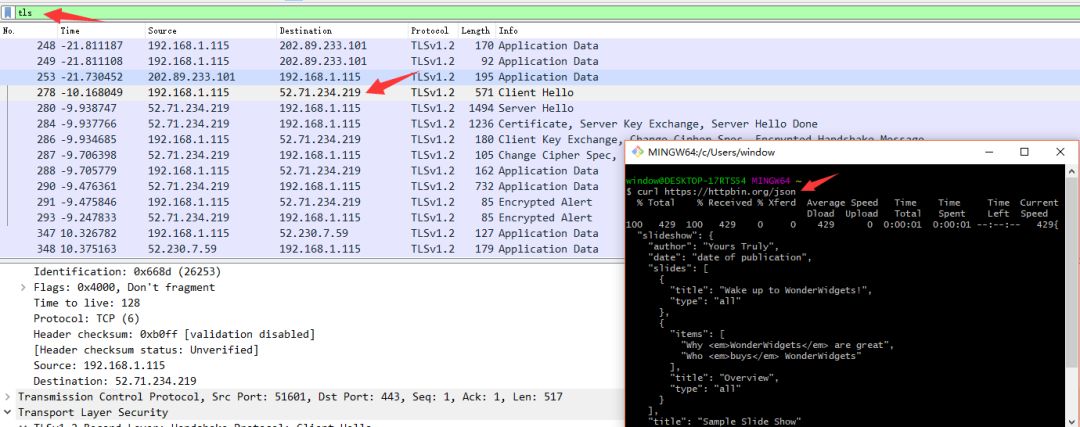 TLS encryption