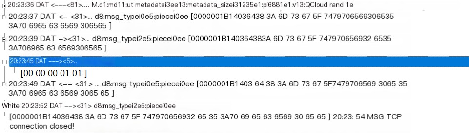 Peer Rejects Metadata Request