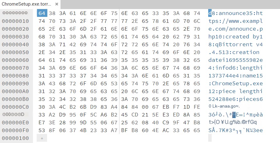 BitTorrent protocol