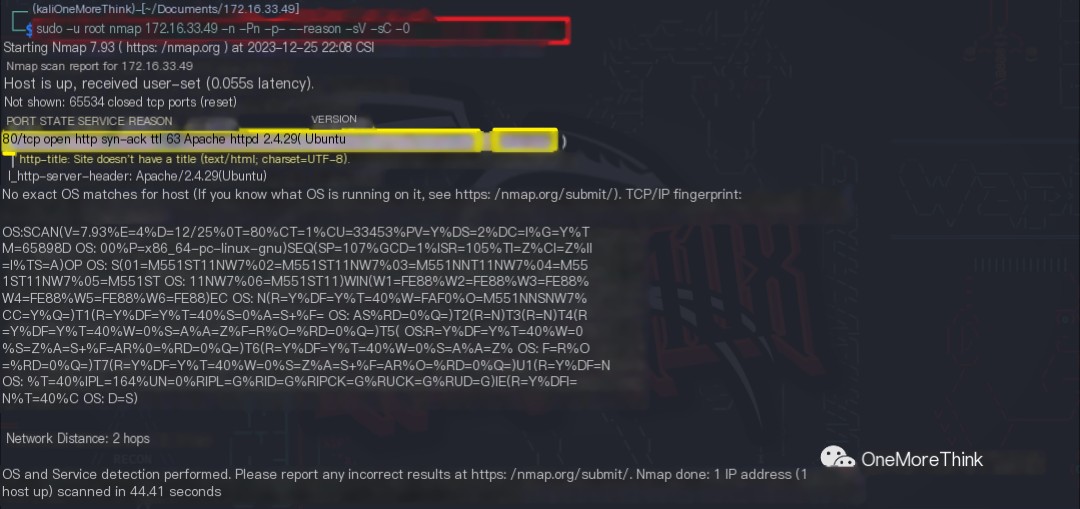 XSS vulnerabilities