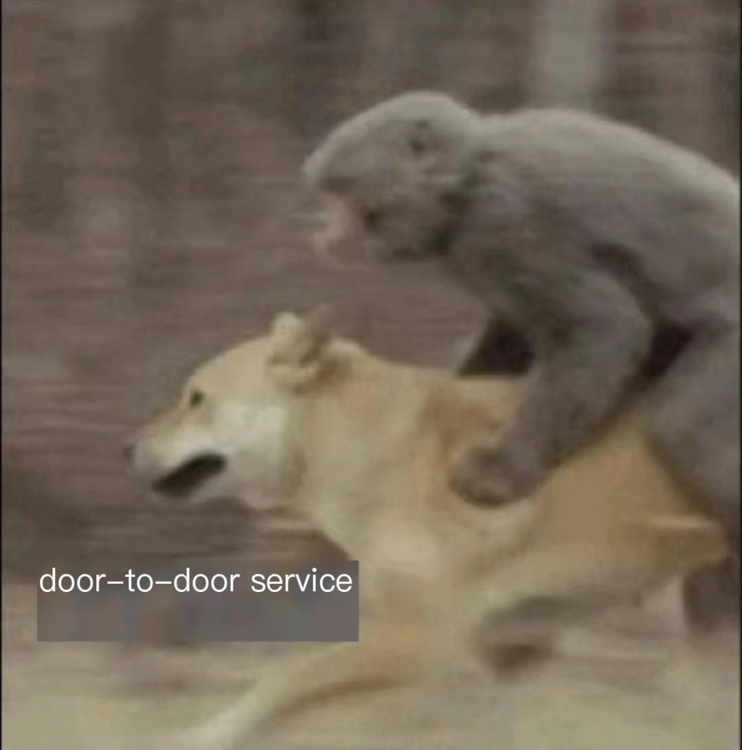 Snort IDS