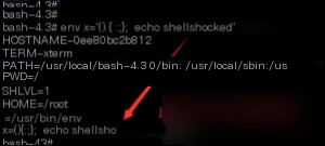Shellshock vulnerability
