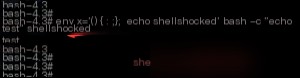 Shellshock vulnerability