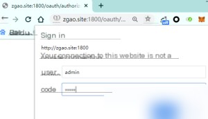 Spring Security OAuth