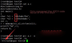  MariaDB bug